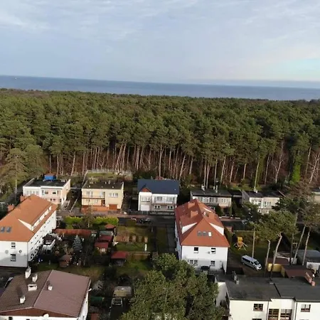 Dark Amber- 3 Grand Piano