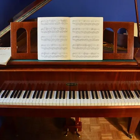 Dark Amber- 3 Grand Piano Apartamento Świnoujście